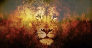 Tantristlik Mees koolituse lovi